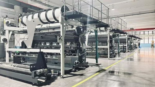 資陽安岳 先進設(shè)備強勢賦能 鞋服產(chǎn)業(yè)鏈再延伸