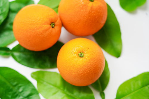 贛南臍橙——優質果品圖片素材，助力食品餐飲設計