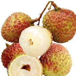 中國果品網(wǎng) 連接果品產(chǎn)業(yè)與消費(fèi)者的橋梁