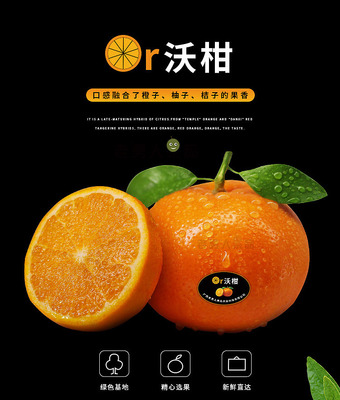 果菜新鮮到家 老男人果品沃柑包裝與蔬菜零售體驗(yàn)