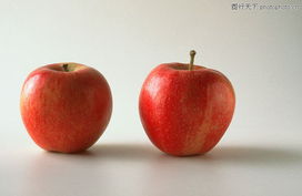 果中百味 從經(jīng)典圖庫(kù)走進(jìn)繽紛水果世界