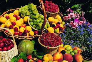 西雙版納特產(chǎn)之熱帶水果與蔬菜零售