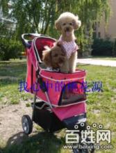 寵物推車批發(fā)零售 為愛(ài)寵打造舒適出行體驗(yàn)
