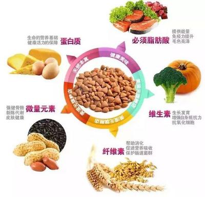 南崗學(xué)府寵物用品批發(fā)零售 一站式滿足愛(ài)寵需求